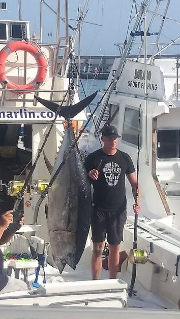 Bunnfiske White Marlin Gran Canaria