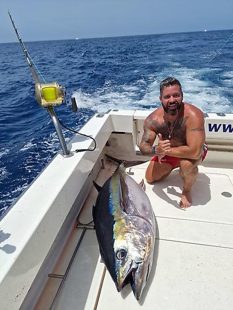 Top quality operation. First class - White Marlin Gran Canaria