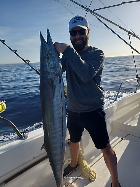 They still keep coming White Marlin Gran Canaria