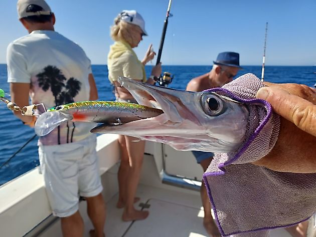 Angelnachrichten White Marlin Gran Canaria
