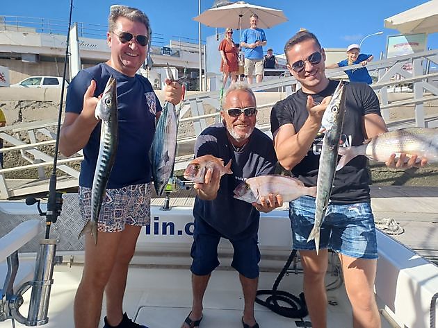Iešguđetlágan govat White Marlin Gran Canaria