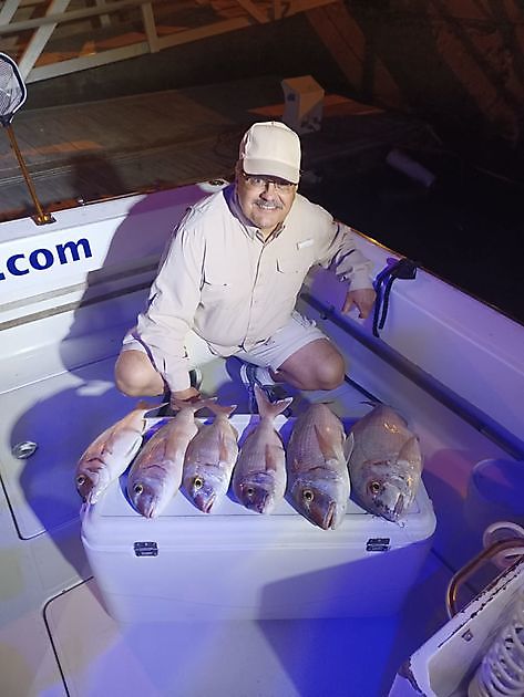 Sen kveld fiske privat charter White Marlin Gran Canaria