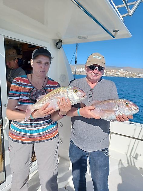 They still keep coming White Marlin Gran Canaria