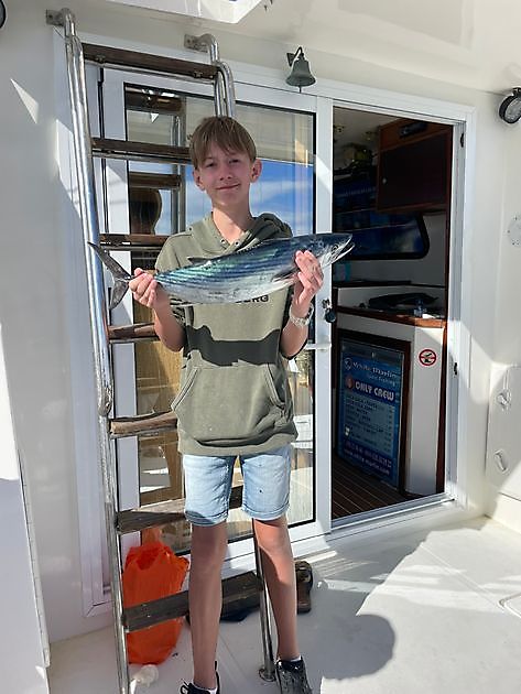 Eahpečielga rievssat. White Marlin Gran Canaria