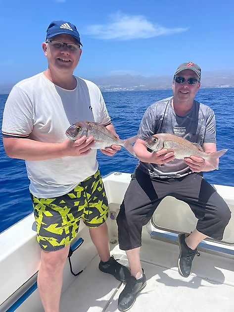 Bivdoođđasat White Marlin Gran Canaria