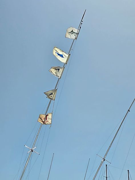 Geweldige dag vissen. - White Marlin Gran Canaria