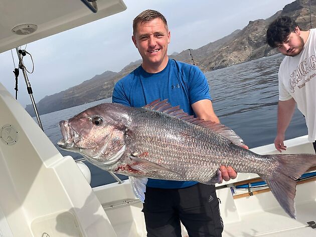 Mii álgit ođđasit !! White Marlin Gran Canaria