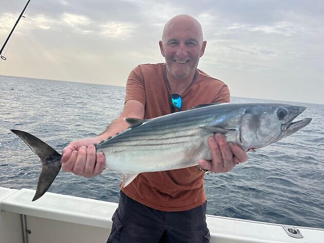 Skipjack  and Atlantic Tuna White Marlin Gran Canaria
