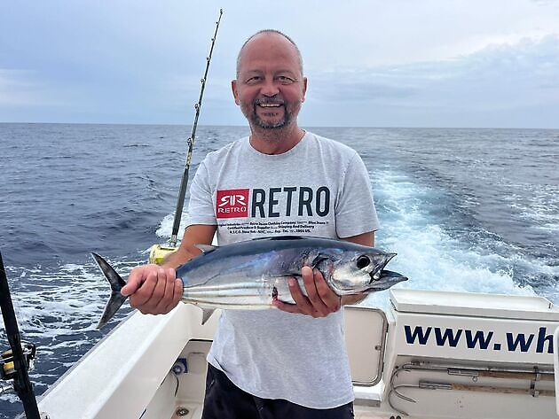 Skipjack ja atlánttalaš tunis White Marlin Gran Canaria