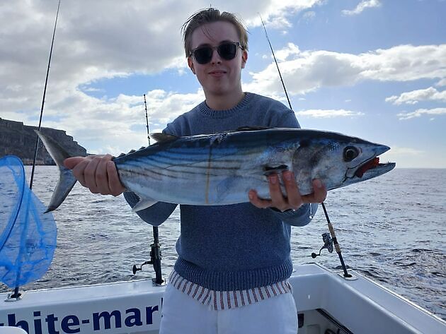 Roter Schnapper White Marlin Gran Canaria