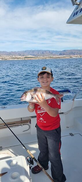 Ochtend White Marlin Gran Canaria
