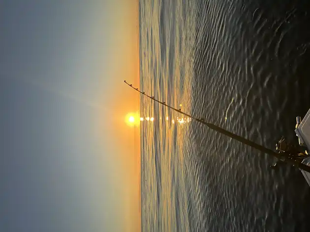 Herzlichen Glückwunsch, Fischer!!! White Marlin Gran Canaria