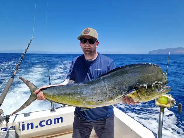 Mahi Mahi, Wahoo!!! White Marlin Gran Canaria