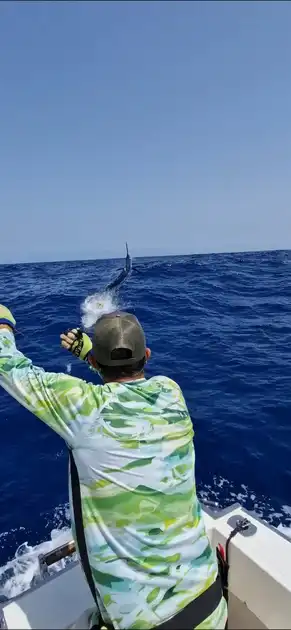 We continue with the Blue Marlin!!! - White Marlin Gran Canaria