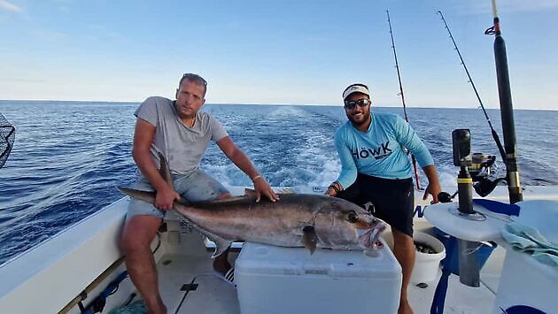 White Marlin Gran Canaria
