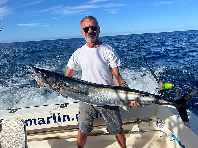 White Marlin Gran Canaria