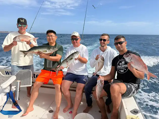 Röda snappers, barracudor, kungsfisk, tonfisk från Atlanten … - White Marlin Gran Canaria