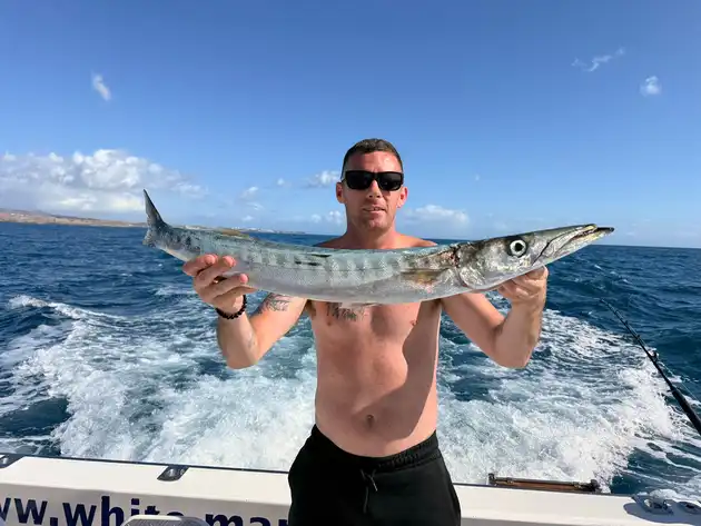 Barracudas,Atlantic Tuna!!! - White Marlin Gran Canaria