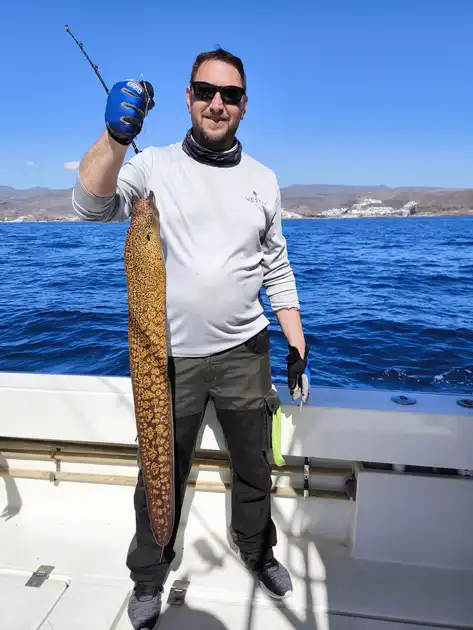 Barracuda, Murene … - White Marlin Gran Canaria