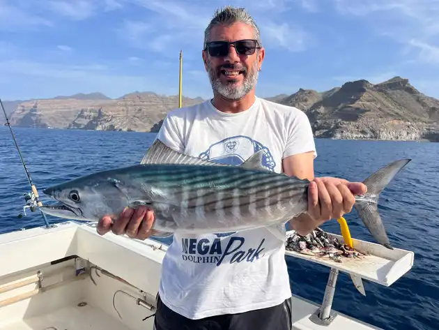 Rote Schnapper, Atlantischer Thunfisch, Barrakudas White Marlin Gran Canaria