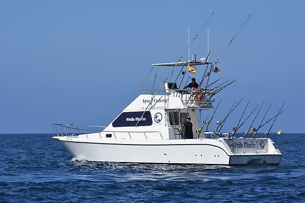 Barco de pesca deportiva White Marlin Gran Canaria - White Marlin Gran Canaria