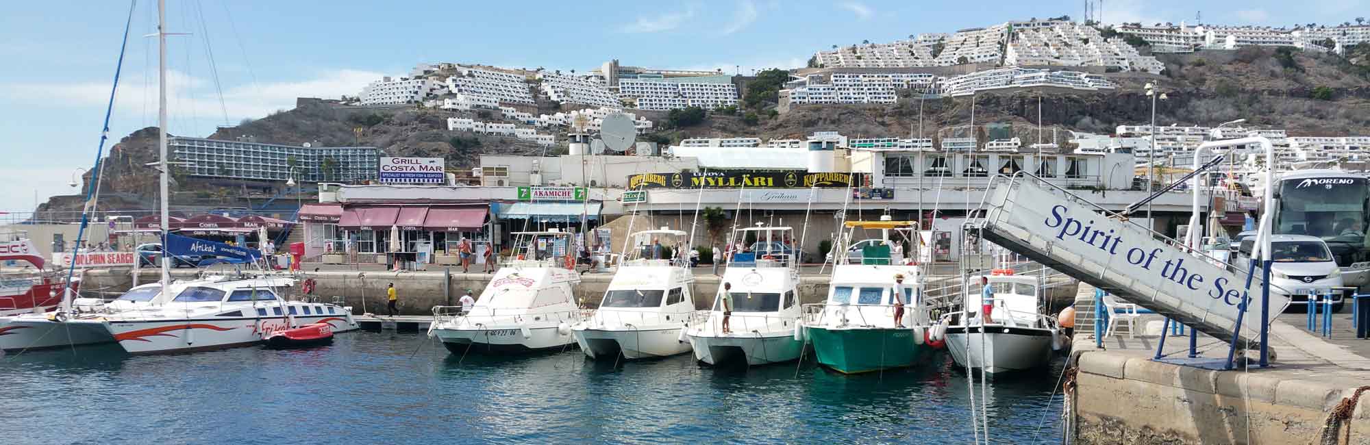  - White Marlin Gran Canaria