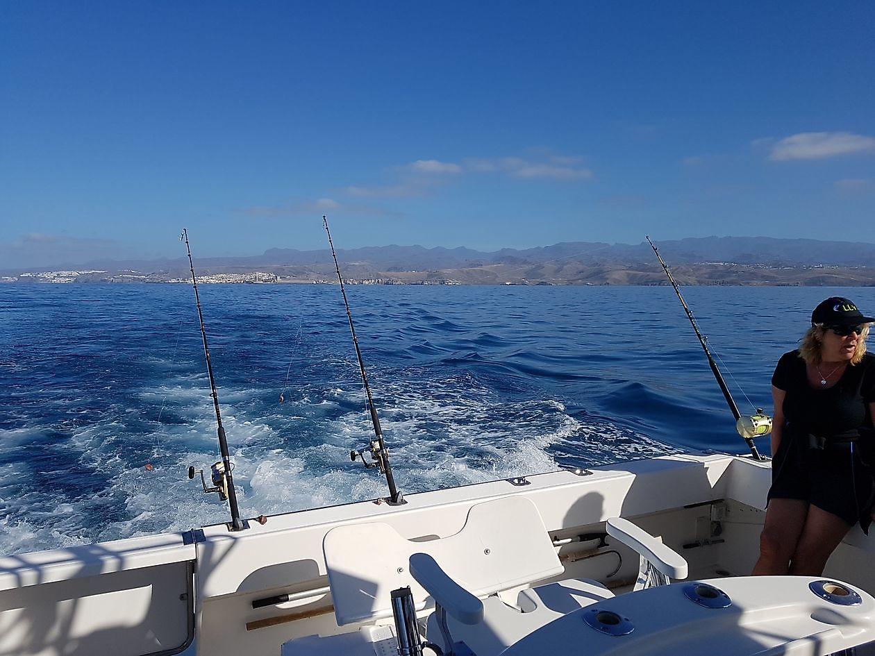 Book your fishing trip - White Marlin Gran Canaria
