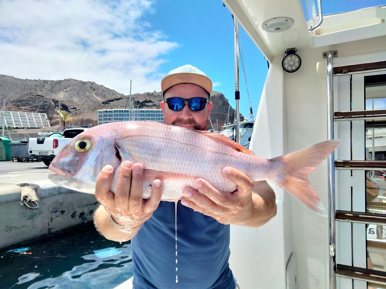 sea fishing trips gran canaria