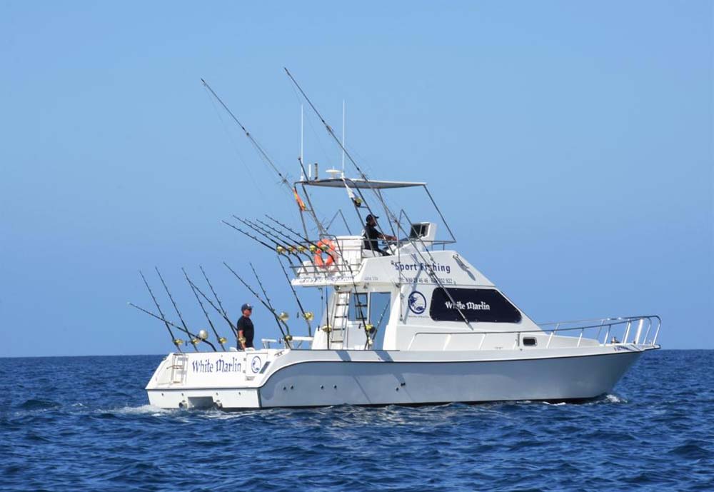 White Marlin