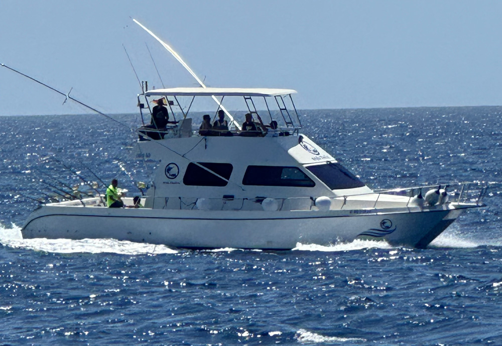 White Marlin II