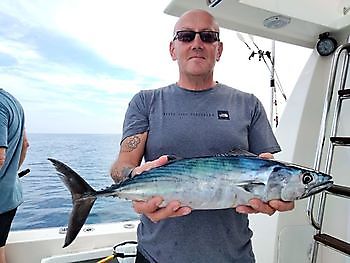 Vangst van de dag White Marlin Gran Canaria