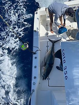 4 de junio de 2021 White Marlin Gran Canaria