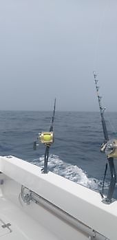 9 de junio de 2021 White Marlin Gran Canaria