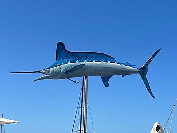 28 de julio de 2021 White Marlin Gran Canaria