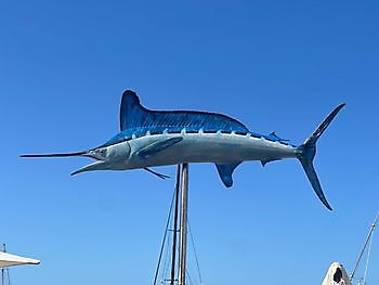 16 June 2021 White Marlin Gran Canaria