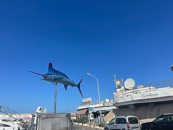 16 June 2021 White Marlin Gran Canaria