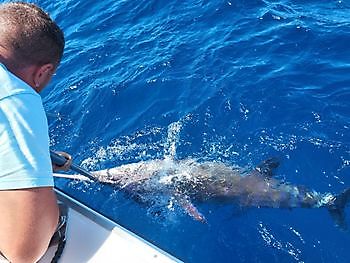 23 de septiembre de 2021 White Marlin Gran Canaria