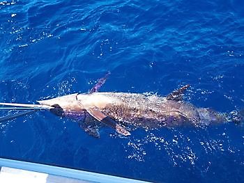 10 juli 2021 White Marlin Gran Canaria