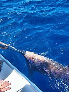 10 juli 2021 White Marlin Gran Canaria