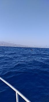 22 de julio de 2021 White Marlin Gran Canaria