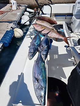 24 de octubre de 2021 White Marlin Gran Canaria