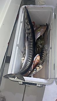 29 de octubre de 2021 White Marlin Gran Canaria