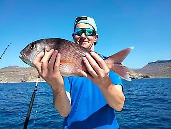 5 November 2021 White Marlin Gran Canaria