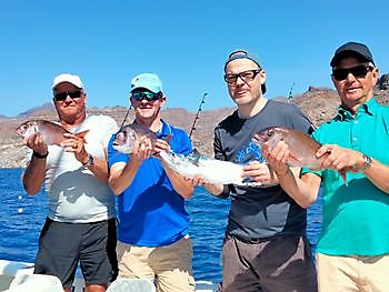 6 November 2021 White Marlin Gran Canaria