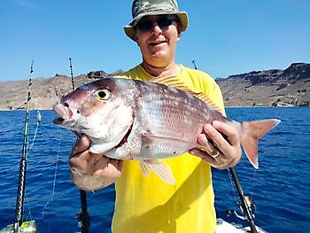 2. November 2021 White Marlin Gran Canaria