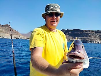 2. November 2021 White Marlin Gran Canaria