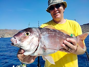 10 November 2021 White Marlin Gran Canaria