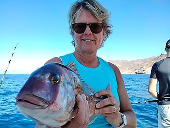 8. November 2021 White Marlin Gran Canaria