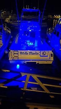 9 de junio de 2021 White Marlin Gran Canaria