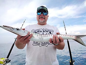 Fishing with live bait. White Marlin Gran Canaria